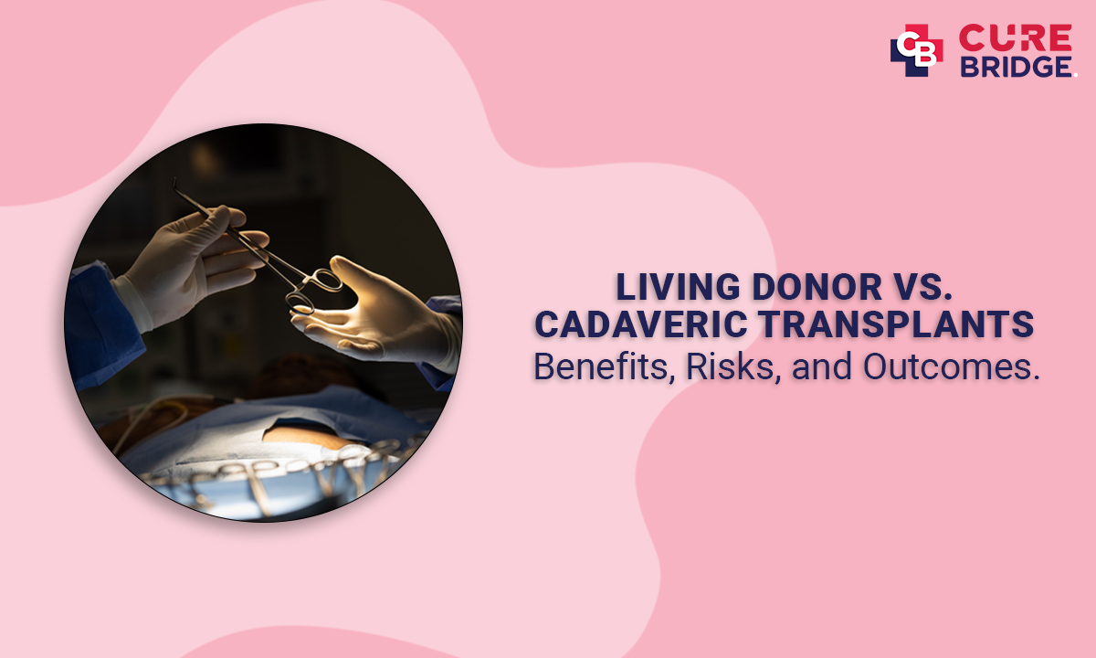 Living Donor vs. Cadaveric Transplants: Benefits, Risks, and Outcomes