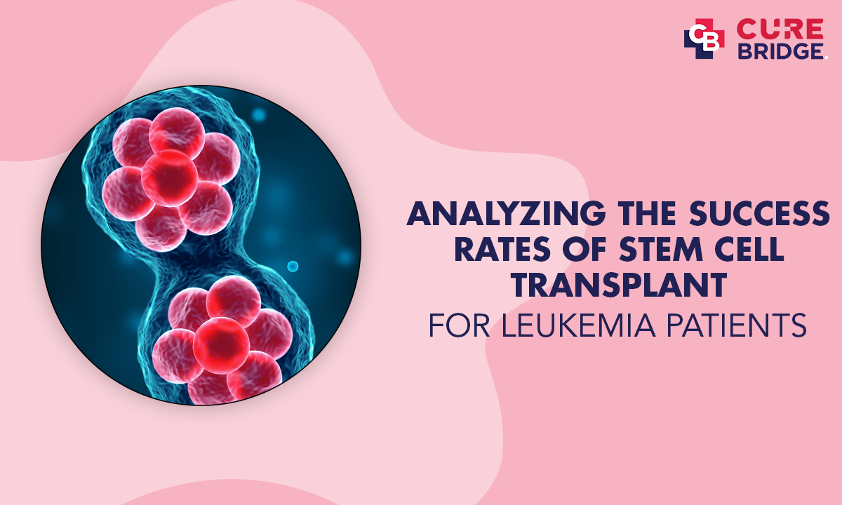 Analyzing the Success Rates of Stem Cell Transplant for Leukemia Patients