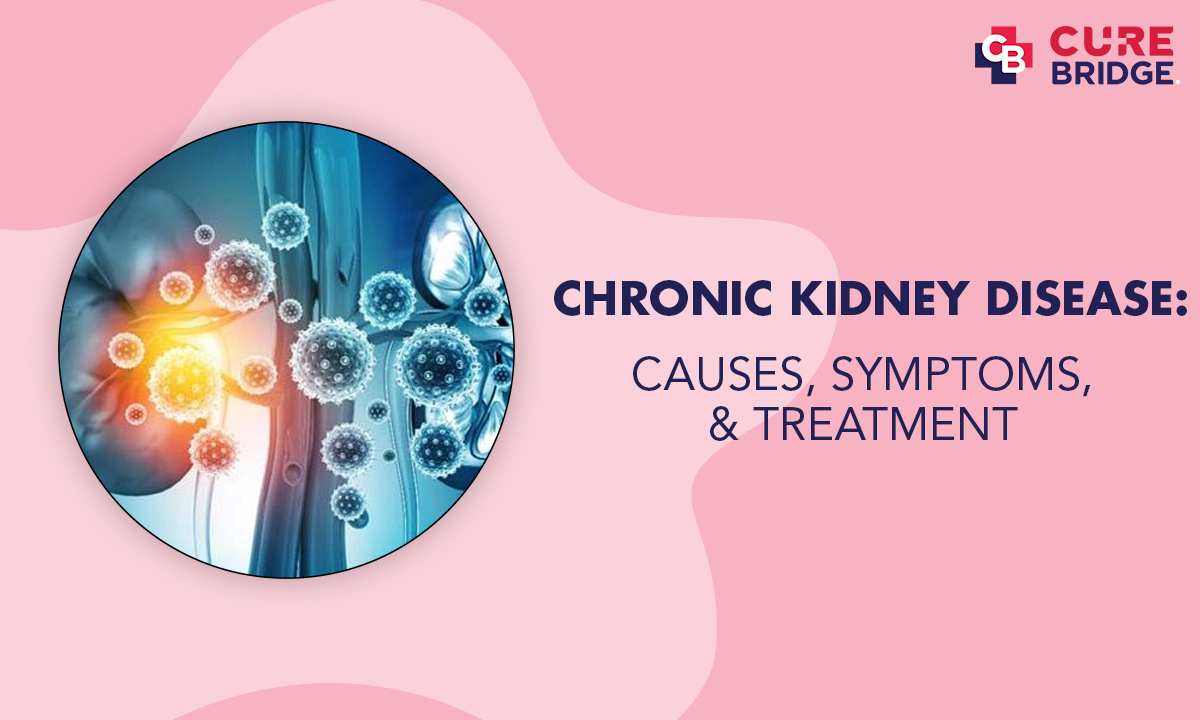 Chronic Kidney Disease: Causes, Symptoms, and Treatment